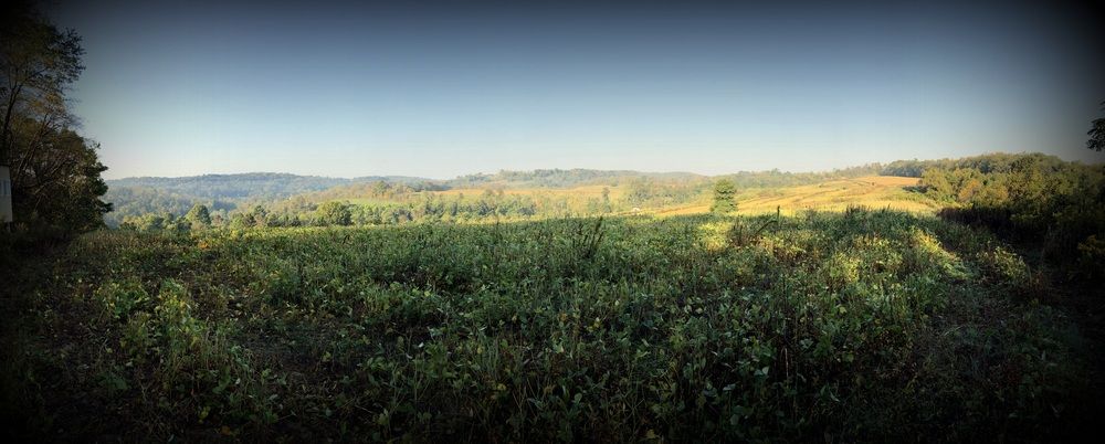 ±87 Acres Land: Route 519, North Strabane, PA 15317